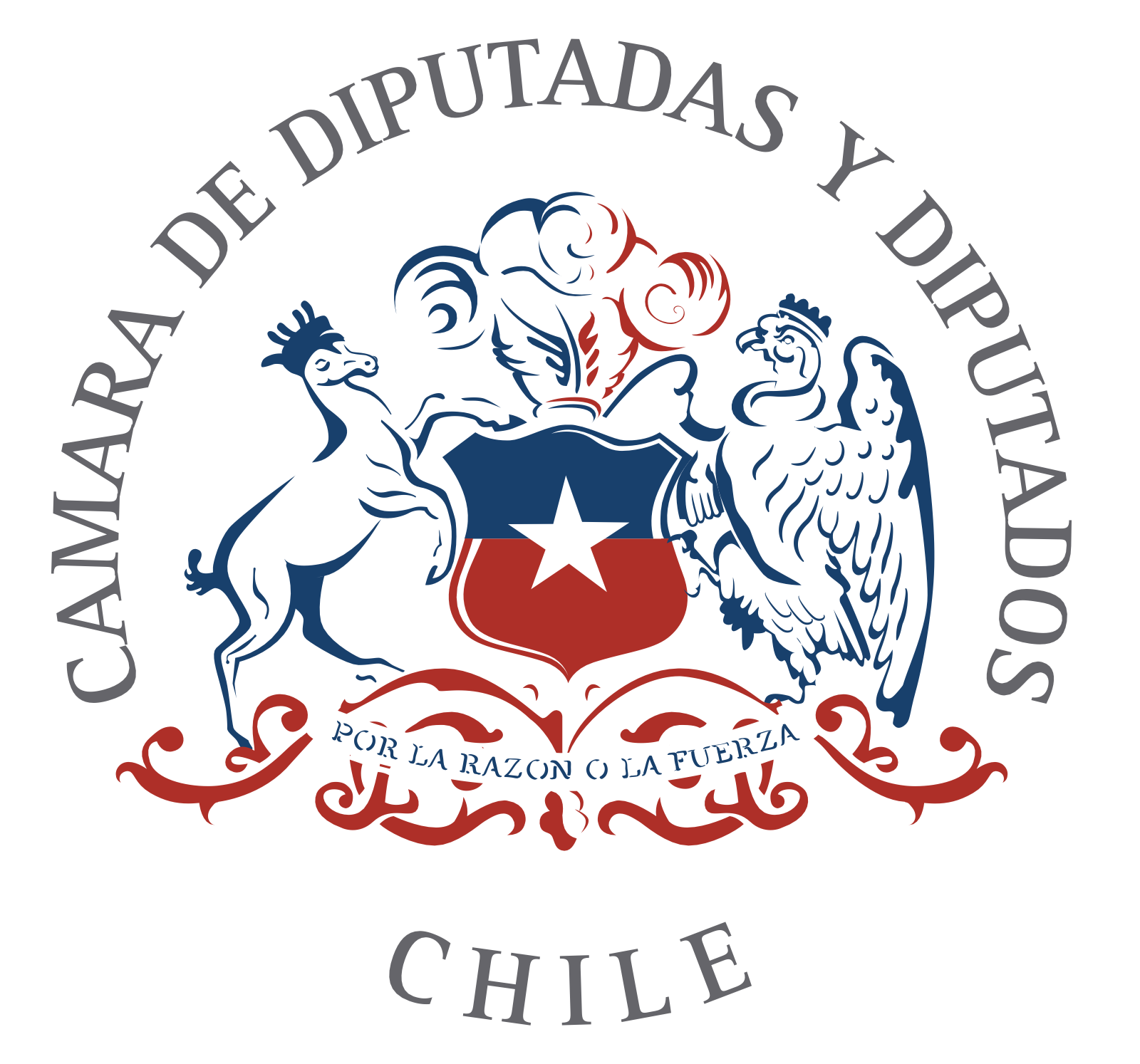 Actor de la Mesa Nacional de Estado Abierto